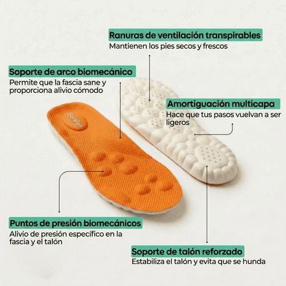 Plantillas de alivio para la Fascitis Plantar y el Dolor de Talón
